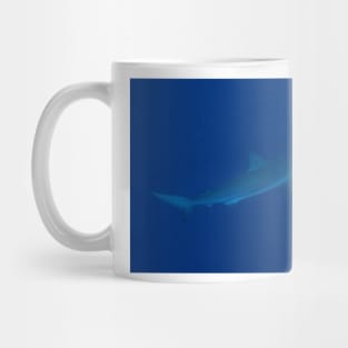 Grey Reef Shark Mug